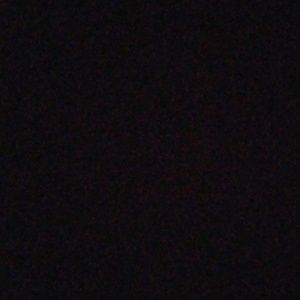 Meet your Posher, Hallie